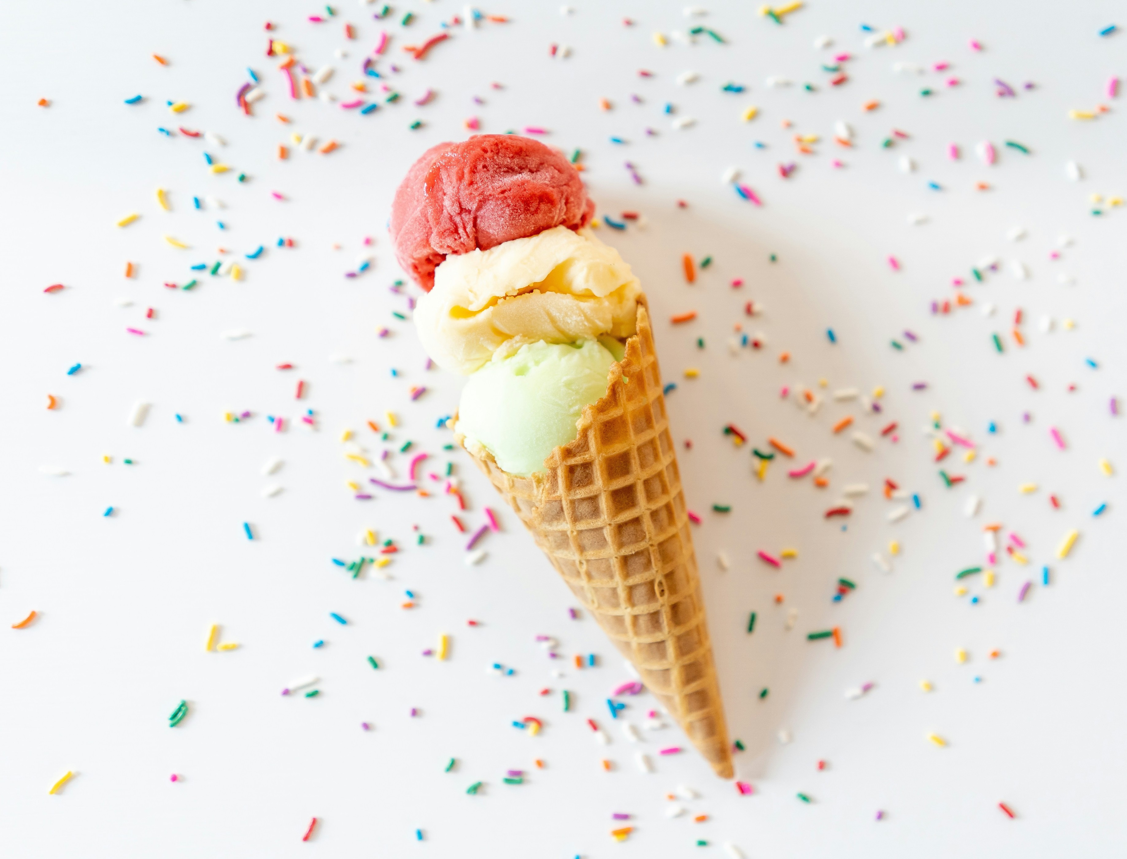 SINGLE SCOOP