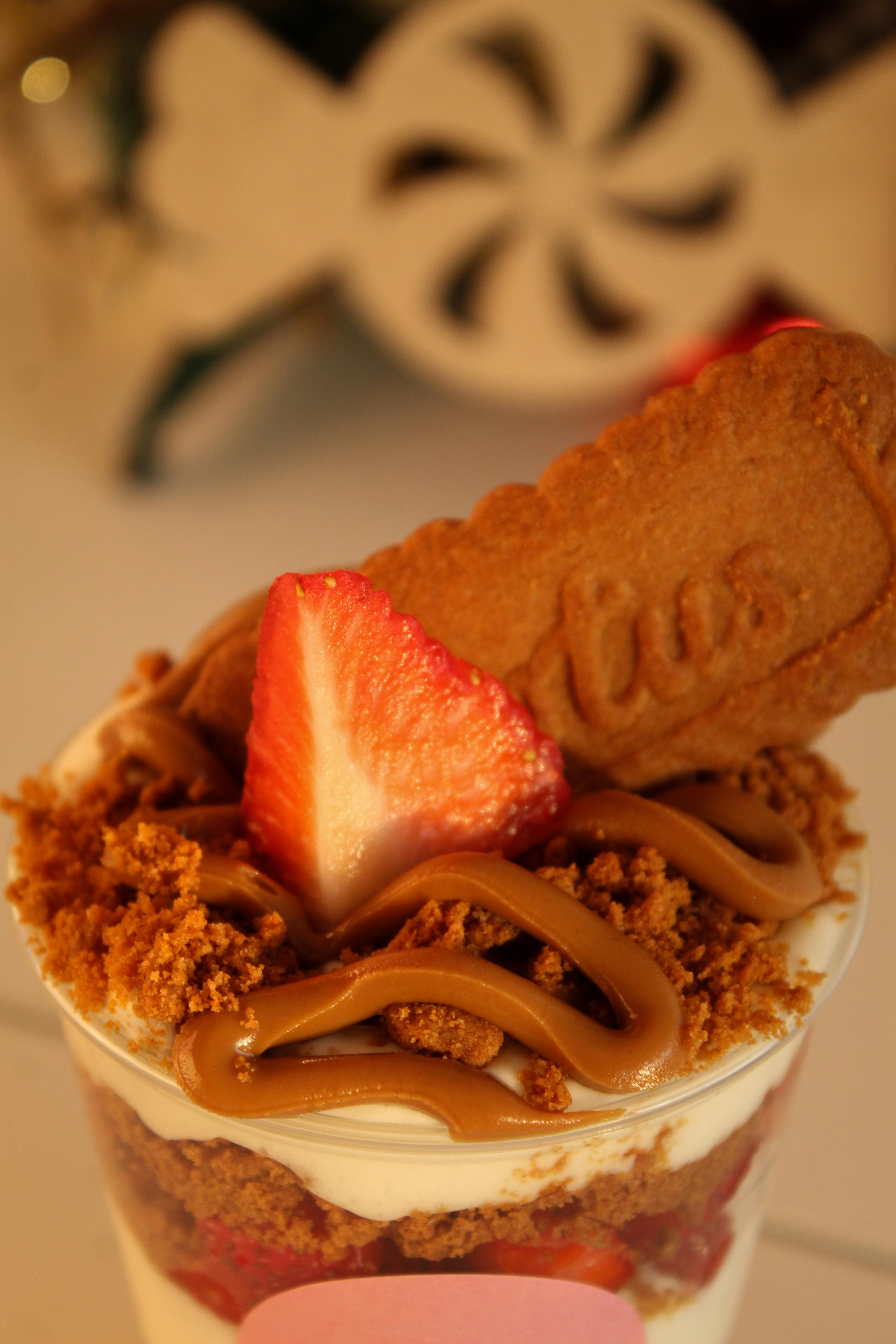 BISCOFF MILKSHAKE